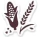 Pictogramme d'un épi de blé pour symboliser l'alimentation des volailles françaises Le Gaulois
