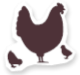 Pictogramme d'une volaille avec des poussins pour représenter l'amélioration du bien-être animal