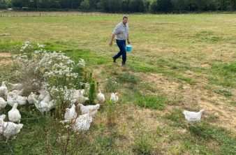 Éleveur Le Gaulois marchant avec un sceau, nourrissant les volailles à l'extérieur, dans son champ