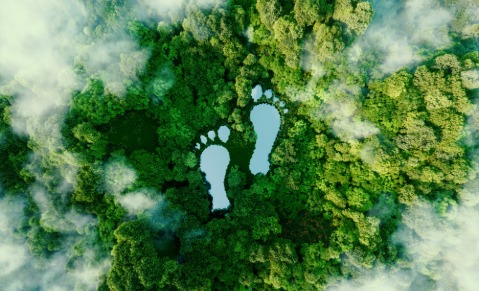 Vue du dessus d'une empreinte humaine de pied avec de l'eau et entouré d'une forêt verdoyante